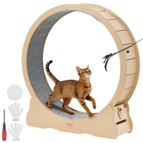 Indoor Cat Exercise Wheel – Quiet Running Treadmil